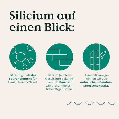 Foto von Nature Love Biotin Komplex - mit Zink, Selen, Silizium & Vitamin B5 - hochdosiert mit 10.000µg Biotin - 365 Tabletten für Haare, Haut und Nägel - Haar Vitamine im Jahresvorrat - vegan & laborgeprüft