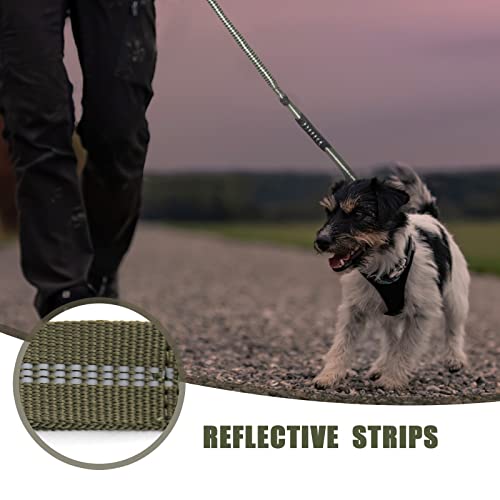 Raipult taktische, robuste Hundeleine, ca. 1,2 - 1,8 m, starke Bungee-Leine mit Richtungsverbinder (Frog clip) und Auto-Sicherheitsgurt, Militär-Leine für K9 mit 2 Griffen für mittelgroße Hunde, grün