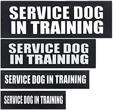 Service Dog Patches, 2Pack Removable Vest Patch for in Training Dogs, Black Hook and Loop Dog Harness Patches, Service Dog in Training-XS
