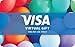 Visa Virtual $200 eGift Card (plus $6.95 Purchase Fee) - For Online Use Only