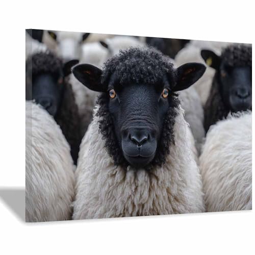 YITOEO(イトエオ) 絵画 白黒 インテリア キャンバスペインティング印刷 装飾画 絵飾る 動物 写真 風水 玄関 アートポスタ ウォールアート モダン 現代 ポスター 装飾画 部屋飾り 壁の絵 壁掛け ソファの背景(ブラック 44)-50x70cm