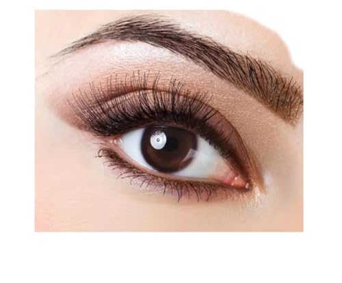 Image of Eyebrow Pencil for Shaping & Filling Brows, combo of 2black and 2brown (BLACK, BLACK, 6)