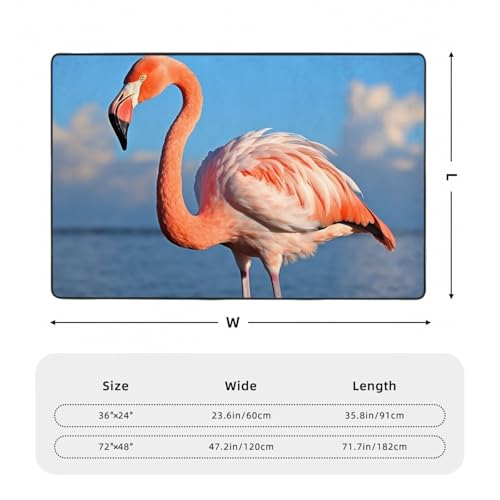 Tapis lavable flamant rose ultra doux pour sol glissant