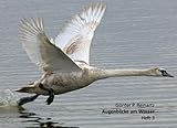 Günter P. Reinartz Augenblicke am Wasser Heft 3: Höckerschwan, Singschwan,...