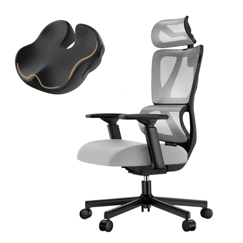 ProtoArc EC100 Ergonomic Office Chair and Office Desk Chair Cushion