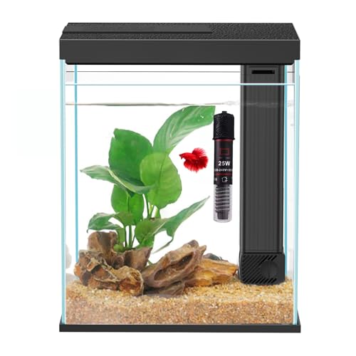 Glass BettaX^[^[LbgAq[^[tB^[ƃCgt2KB