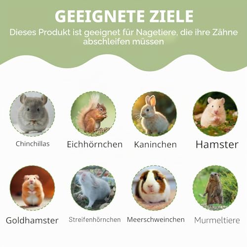 Rynvarl Kausticks Mix für Nagetiere – 300g Natürliche Kauspielzeug aus Apfelholz, Timothy Heu und süßer Bambus, Ohne Zusatzstoffe, Für Kaninchen, Meerschweinchen, Hamster, Chinchillas, Kleintiere