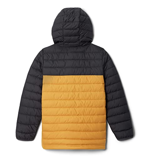 Image of Columbia Kids Powder Lite Hooded Jacket (Little Kids /Big Kids)