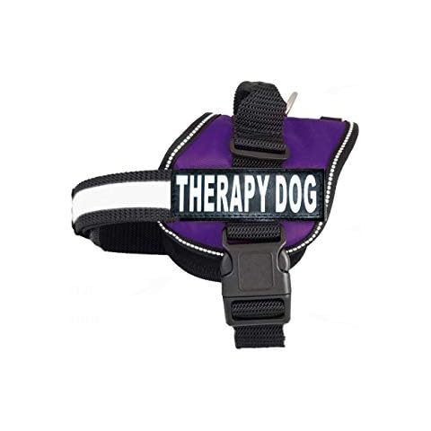 Therapy Dog Harness Service Working Vest Jacket Removable Patches,Purchase Comes with 2 Therapy Dog Reflective pathces. Please Measure Dog Before Ordering. (Girth 19-25", Purple) Cover
