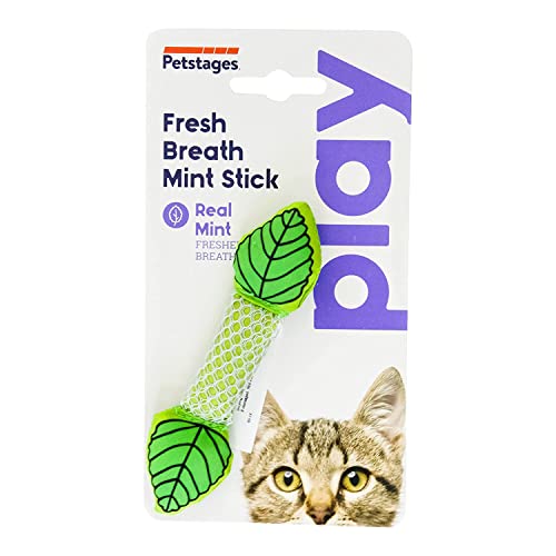 Outward-Hound-Fresh-Breath-Mint-Stick-Dental-Chew-Toy-for-Cats-Helps-to-Clean-and-Strong-Your-Pets-Teeth-Removes-Soft-Tartar-and-Plaque--Green-12cm