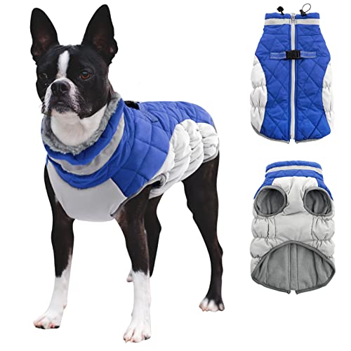 CITÉTOILE Hundemantel Winter,Hundejacke mit Geschirr, Wasserdicht Hundemantel mit Fleece Gefütterte für Kleine Hunde Warme Hundeweste mit Reflektierend für Kleine Mittel Grosse Hunde, Blau, S Cover