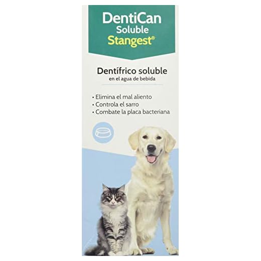 Stangest DentiCan Soluble | Dentífrico Soluble para Perros y Gatos | Higiene Bucal | Elimina Mal Aliento | Controla la Placa y Sarro | 500 ml