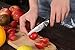 Dnifo Paring Knife, Fruit Peeling Knife Japanese VG10 Damascus Steel 67 Layer Razor-Sharp-3.5 Inch Kitchen Knife Stainless Steel Small Sharp Knife with High-Density Fiber Handle for Kitchen Cutting