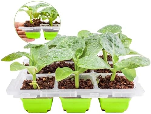 Mini Serre Intérieur Avec Lumière LED - Kit Culture Semis - Boîte De Germination USB