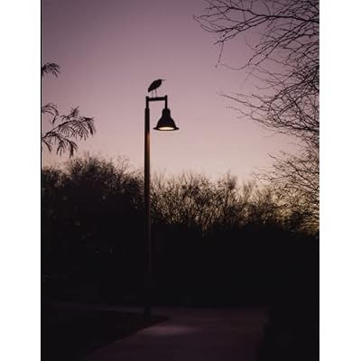 8.5x11 Notebook with Silhouette Of Heron On A Light Post With Purple Sunset