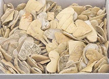 Schreiber Deko 200x Birkenherz Natur 2,5cm Cover