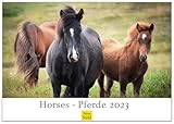 Pferde Premium Kalender 2023 DIN A3 Wandkalender Weltweit Tiere Pferde Pony Pferdekalender Stute Fohlen Natur Sonne Strand Weide Koppel Meer Natur (SW044)