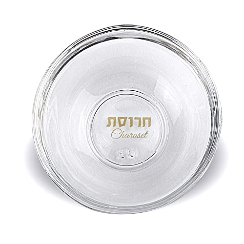 6 Passover Seder Plate Glass Dishes - Mini Seder Plates Liners With Hebrew And English Translation Passover Decorations Pesach Decor By Zion Judaica #TOP6