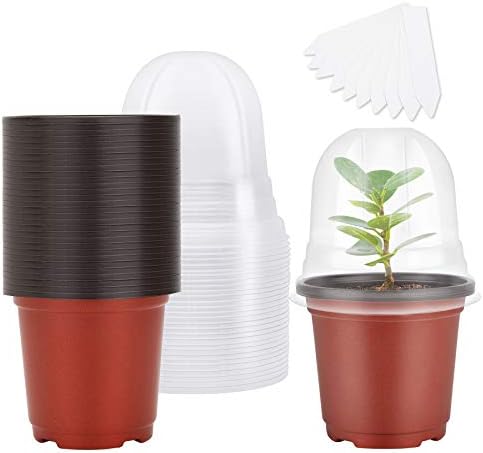 MIXC Anzuchttöpfe Pflanzentopf 30 Stück 10cm Blumentopf Plastik mit Feuchtigkeitskuppel, Rund Pflanztöpfe Kunststoff Saattöpfe übertöpfe mit 10 Steckettiketten