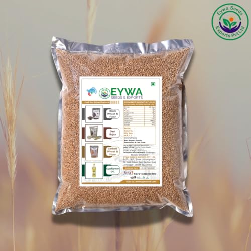 Image of Organic Sonamoti Ancient Wheat Grains (1 kgs) For Eating And Cookings |Sonamoti Golden Daane|Produce Of India From Organic Farms | By Eywa