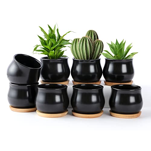 SHECIPIN 8 Pack Pot Plante Succulente, 2,6 po Céramique Noir