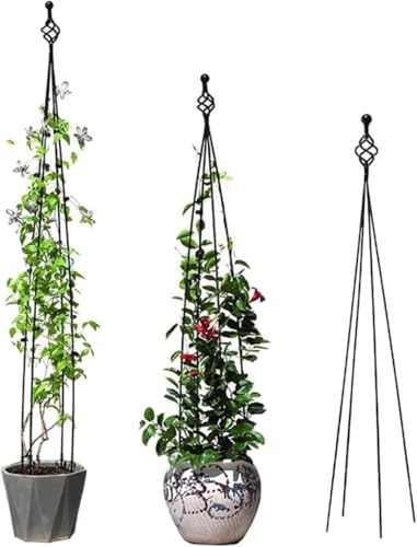 IWEJ ACAK[fgX [YIxXN oEN}`XEԓ鐫ApUx AT|[gԂ CXg[sv AE؁EϗtAp|T|[gXe[N (150cm)