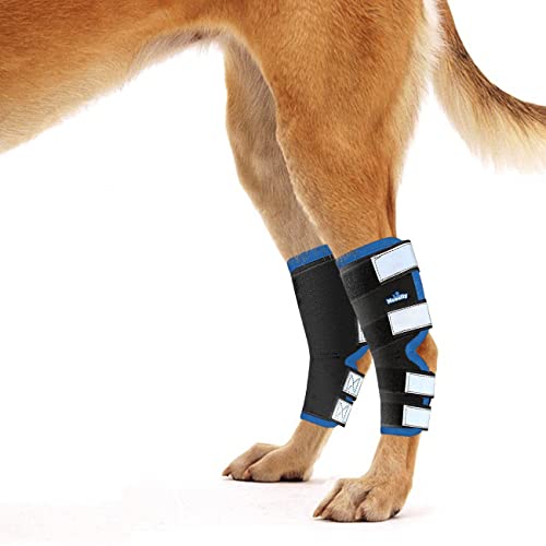 NeoAlly Dog Leg Brace [Long Version] Canine Hind Hock Support with Safety Reflective Straps for Injury and Sprain Protection, Wound Healing and Loss of Stability from Arthritis (Blue XS Pair)