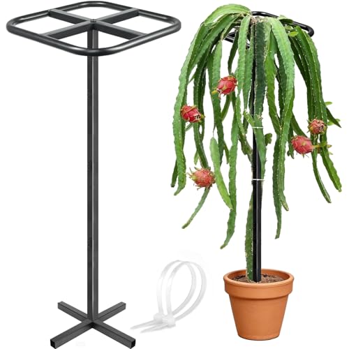 Ansonation Extra Thick Adjustable Dragon Fruit Trellis Durable Metal Plant Trellis Outdoor Climbing Plants Support Frame for Vertical Gardening Trees Cactus Black