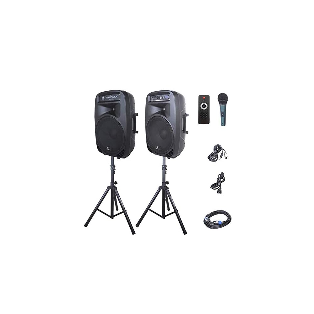 Buy PRORECK Party 15 Portable 15-Inch 