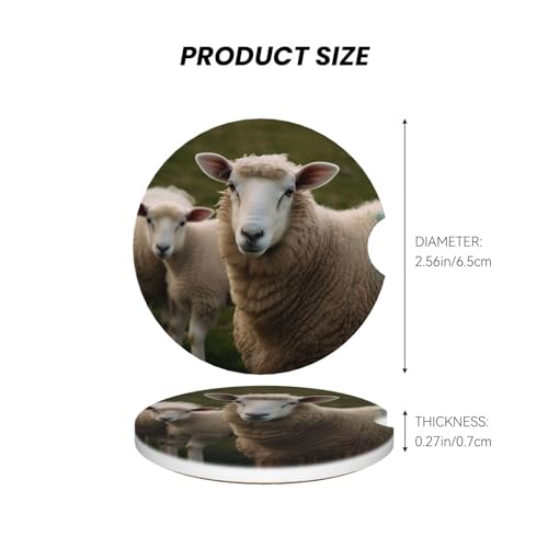 2 Pack Posavasos de Cerámica para Auto miniatura 3