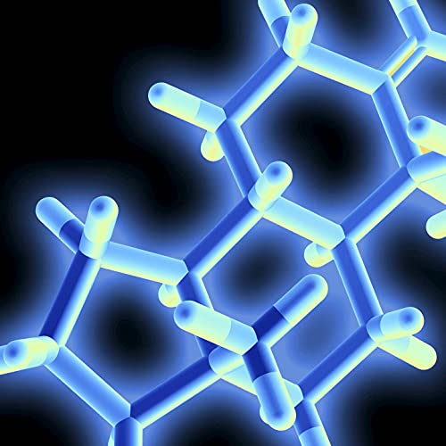 Noam Brusilovsky: Testo Junkie. Nach dem gleichnamigen Text von Paul B. Preciado