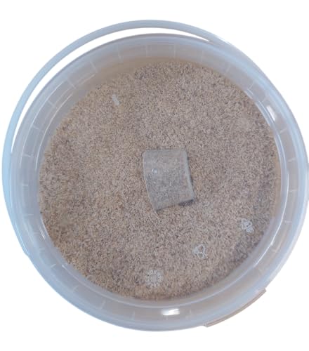 Scheidler horse-direkt 1 kg Eimer Flohsamenschalen indisch, ganz für Pferde, Ponys – Einzelfuttermittel mit viel Ballaststoffen und Schleimstoffen – inkl. Messlöffel