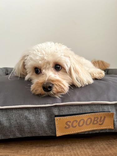 Petsen Personalisierte Hundebett XL - Grosse Große Mittelgroße Hunde - Hundekissen – Hundekörbchen - Hundematte mit Gravieren Namen (Grau, L 100 x B 65 x H 17 cm)