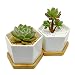 4-Inch Hexagonal White Ceramic Succulent Planter with Bamboo Tray | Set of Two | Minimalist Design