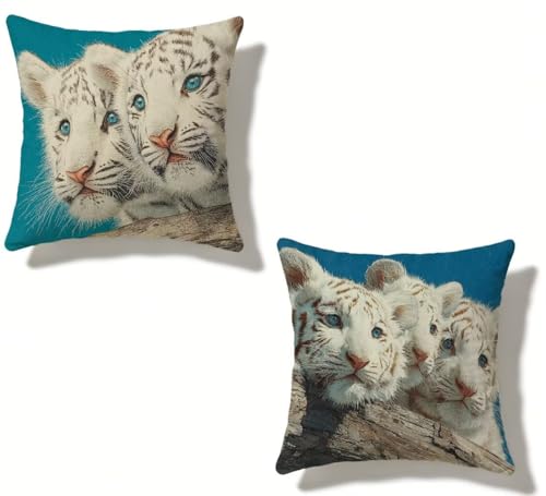 �N�b�V�����J�o�[ 40x40 cm 2���Z�b�g �� �������J�o�[ 40 x 40 �h�� ���� ���O �N�b�V���� �� �l�C ���O Cushion Cover �l�p HD���ʈ�� ���_�� �B���t�@�X�i�[�t���C ������ �p���� �_�� �� �\�t�@�[ �l�G�ʗp �� 