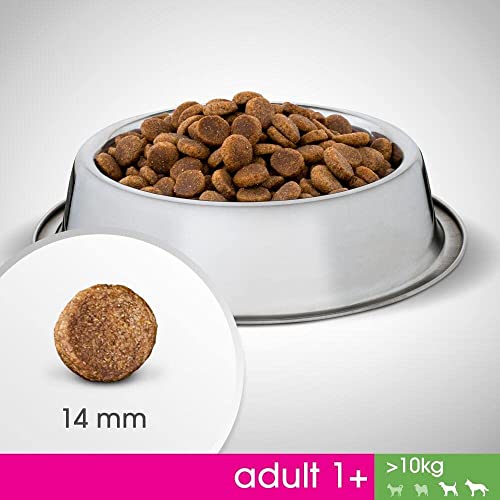 Perfect fit Dog Adult Huhn, 1400 g