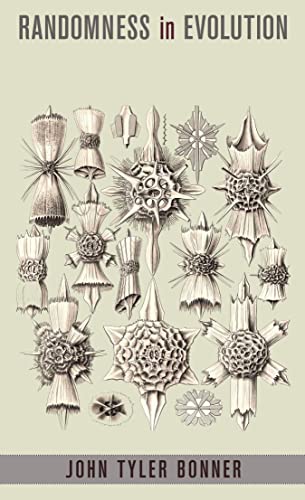 Randomness in Evolution view 2