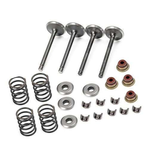 Ressorts de retenue et joints pour moteur de voiturette golf Fuji 295cc