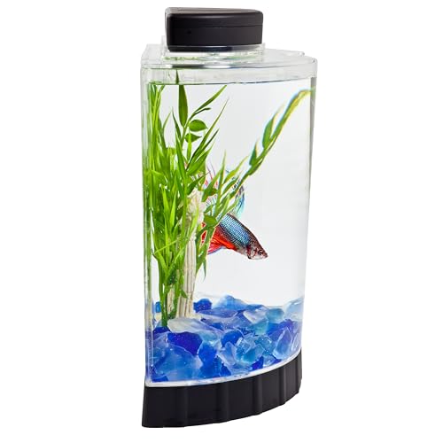 Tetra LED Half Moon Aquarium Kit, 1.1 Gallons, Small, Clear Plastic Fish Tank With Curved Front, Easy Feeding And Movable, Energy-Efficient LEDs Ideal For Bettas Great As Desk Aquarium by Tetra - Image 2