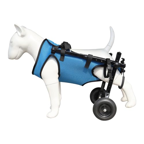 Chariot pour chien en balade : fauteuil roulant réglable bleu - 2