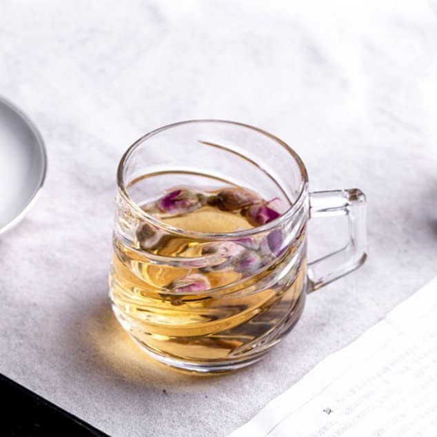 Image of Premium Glass Tea & Coffee Cups Set of 6, 200 ML Transparent Glass Mug with Handle for Coffee,Green Tea, Hot & Cold Beverages, Stylish Clear Drinking Cups for Home Kitchen Cafe (CTZ - 24)