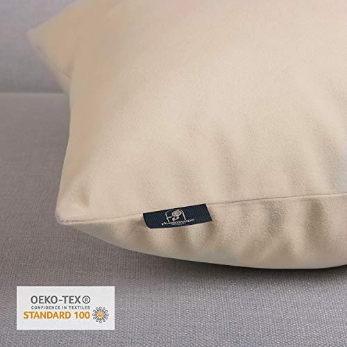 Phantoscope Pack of 2 Velvet Decorative Throw Pillow Covers Soft Solid Square Cushion Case for Couch Beige 22 x 22 inches 55 x 55 cm