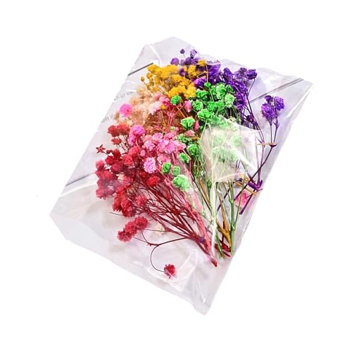 Ramo de Flores Secas en Resina para Decoración miniatura 1
