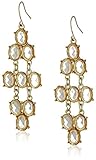 Faceted Lucite Oval Chandelier Earrings