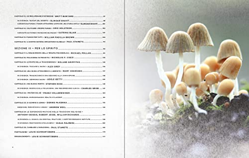 Funghi Fantastici: Come I Funghi Possono Curarci, Espandere La Nostra Coscienza E Salvare Il Pianeta - 7