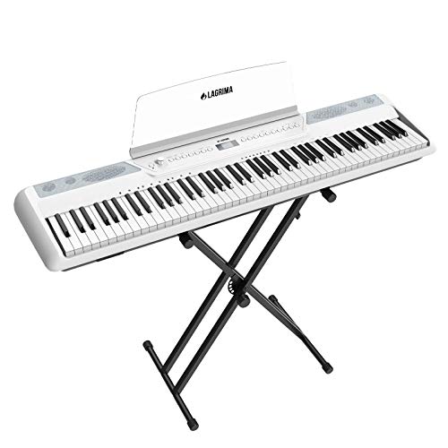 Best Electronic Keyboards With Weighted Keys 10Reviewz