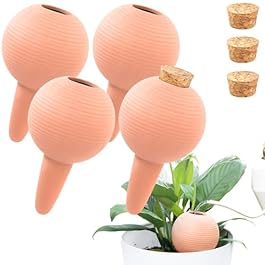 Plant Watering Globes...