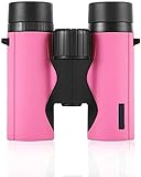 AYDQC 8X32 Binokel Nacht Fill mit Stickstoffwasserdichtes Fernglas 4 Optik Zoom Teleskop Reise Wandern Jagd Vogelbeobachtung fengong (Color : Pink)