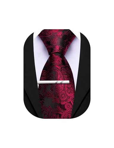 Image of Barry.Wang Paisley Tie for Men Silk Woven Necktie and Tie Clip Set Wedding Party Business Formal