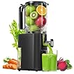 Cold Press Juicer, 5.5inch Wide Feed Chute Juicer Machine, Slow Masticating Juicer for Whole Vegetables & Fruits, Black